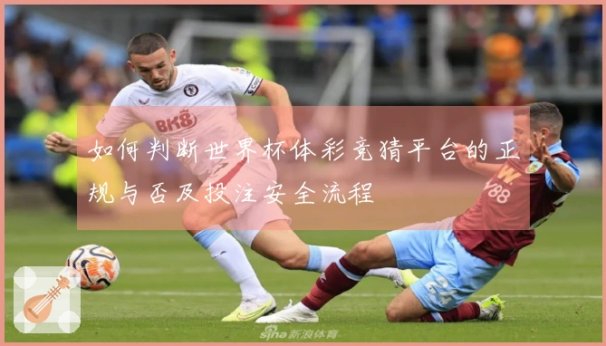 如何判断世界杯体彩竞猜平台的正规与否及投注安全流程