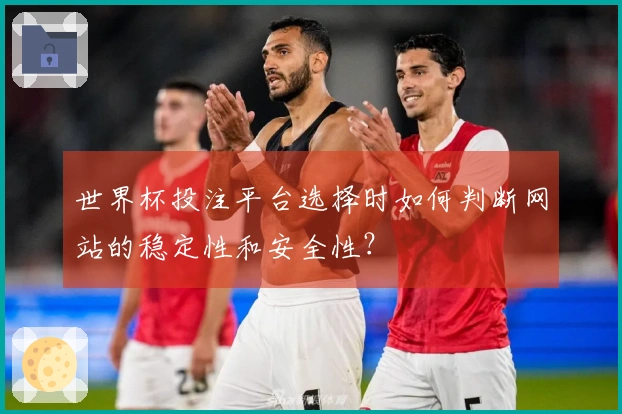 世界杯投注平台选择时如何判断网站的稳定性和安全性？