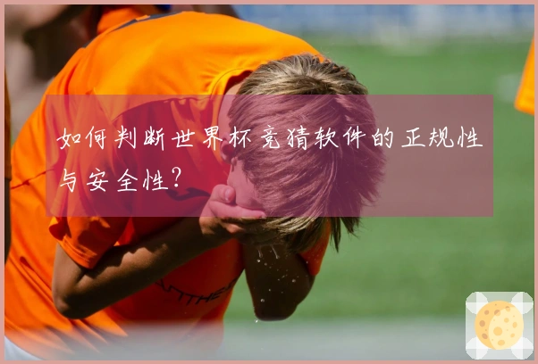 如何判断世界杯竞猜软件的正规性与安全性？