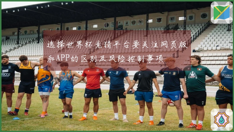 选择世界杯竞猜平台要关注网页版和APP的区别及风险控制事项