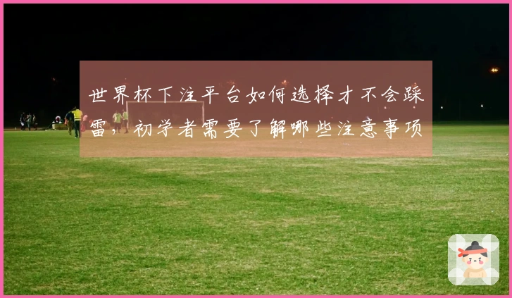 世界杯下注平台如何选择才不会踩雷，初学者需要了解哪些注意事项？