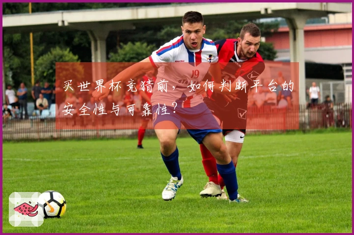 买世界杯竞猜前，如何判断平台的安全性与可靠性？